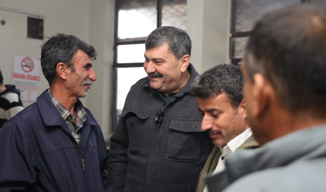 Toroslar Belediyesi, Mevlana Mahallesinde