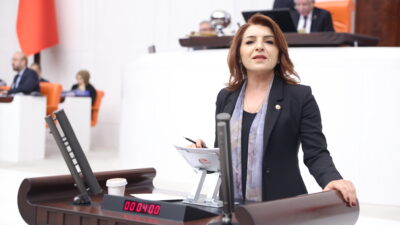 CHP Mersin Milletvekili Gülcan Kış,