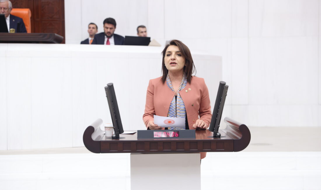 CHP Mersin Milletvekili&nbsp;Gülcan Kış,
