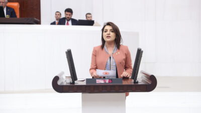 CHP Mersin Milletvekili&nbsp;Gülcan Kış, Türkiye