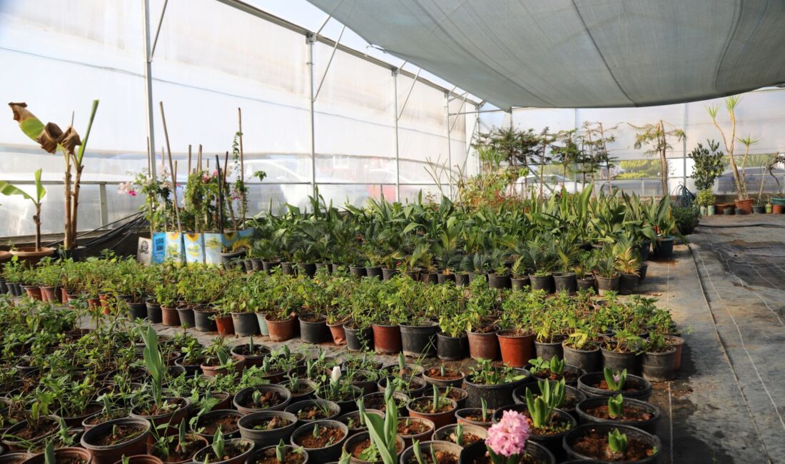 Akdeniz Belediyesi, ilçedeki park ve