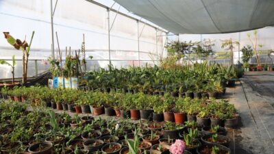 Akdeniz Belediyesi, ilçedeki park ve