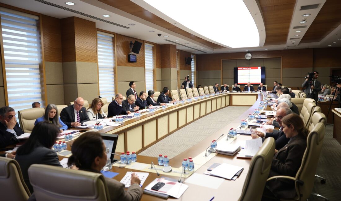 TBMM Dilekçe ve İnsan Hakları