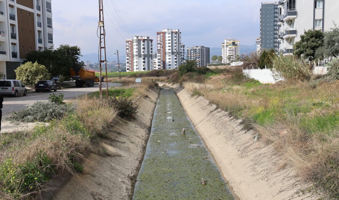 Başkan Yıldız’dan bürokrasi isyanı: İlla birilerinin ölmesi mi gerekiyor? Başkan Yıldız’dan bürokrasi isyanı: İlla birilerinin ölmesi mi gerekiyor?