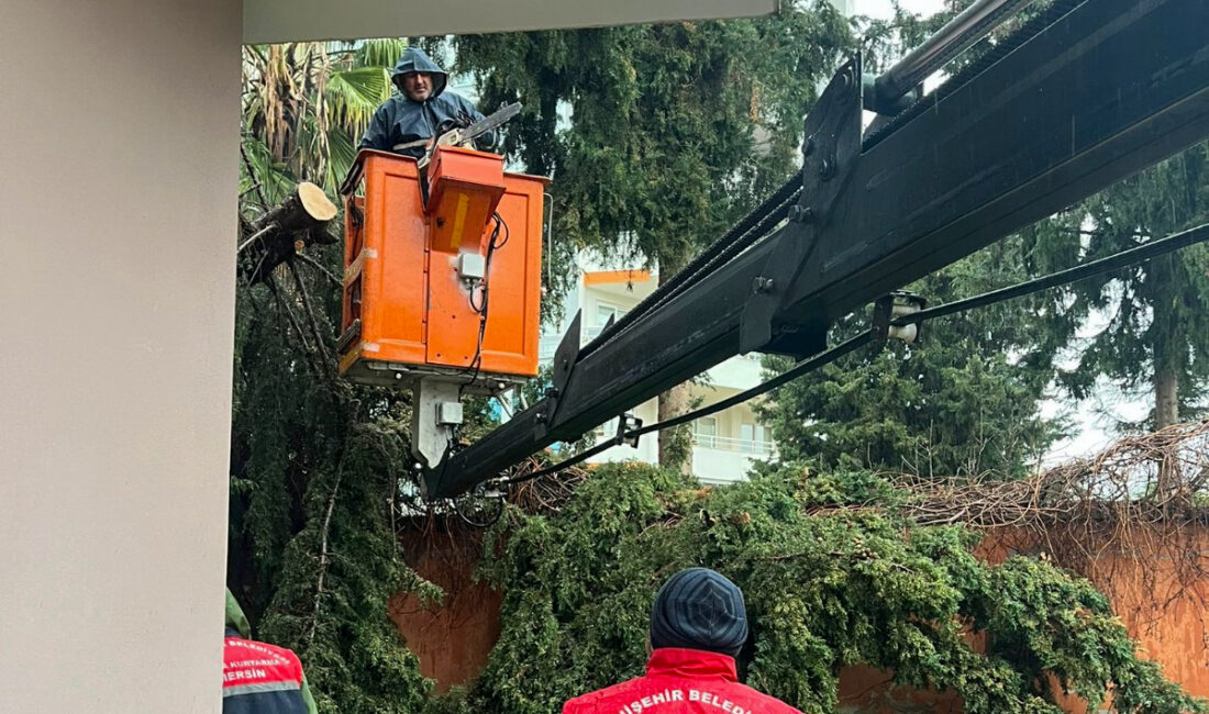 Mersin Yenişehir Belediyesi, kentte