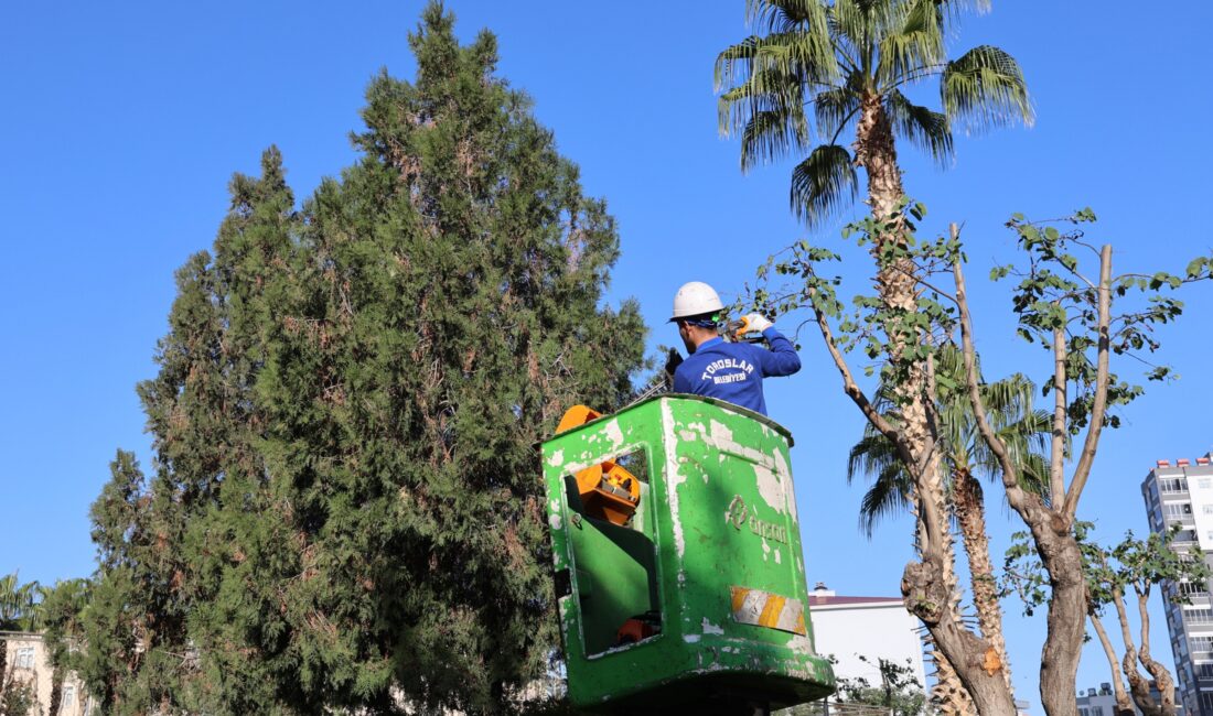 Tehlike Oluşturan Dallar Temizleniyor Toroslar Belediyesi, ilçe genelinde ağaç