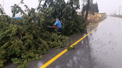 AKDENİZ BELEDİYESİ YAĞIŞLA MÜCADELESİNİ GÜN BOYU SÜRDÜRDÜ Akdeniz Belediyesi, il genelinde etkili