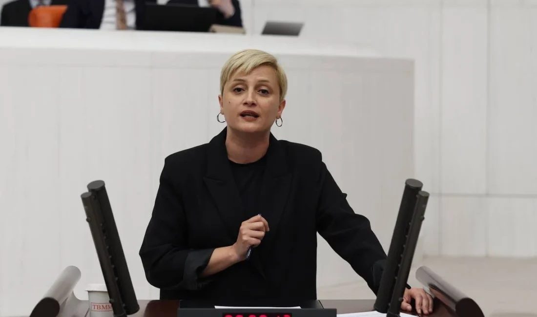 DEM Parti Mersin Milletvekili