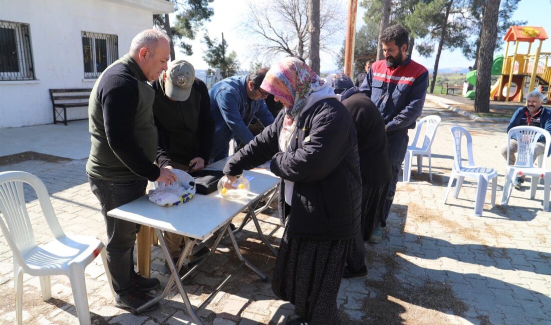 Mersin Orman Bölge Müdürlüğünde