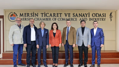 CHP Mersin Milletvekili Gülcan Kış,