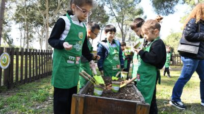 Mersin Orman Bölge Müdürlüğümüz, Mersin