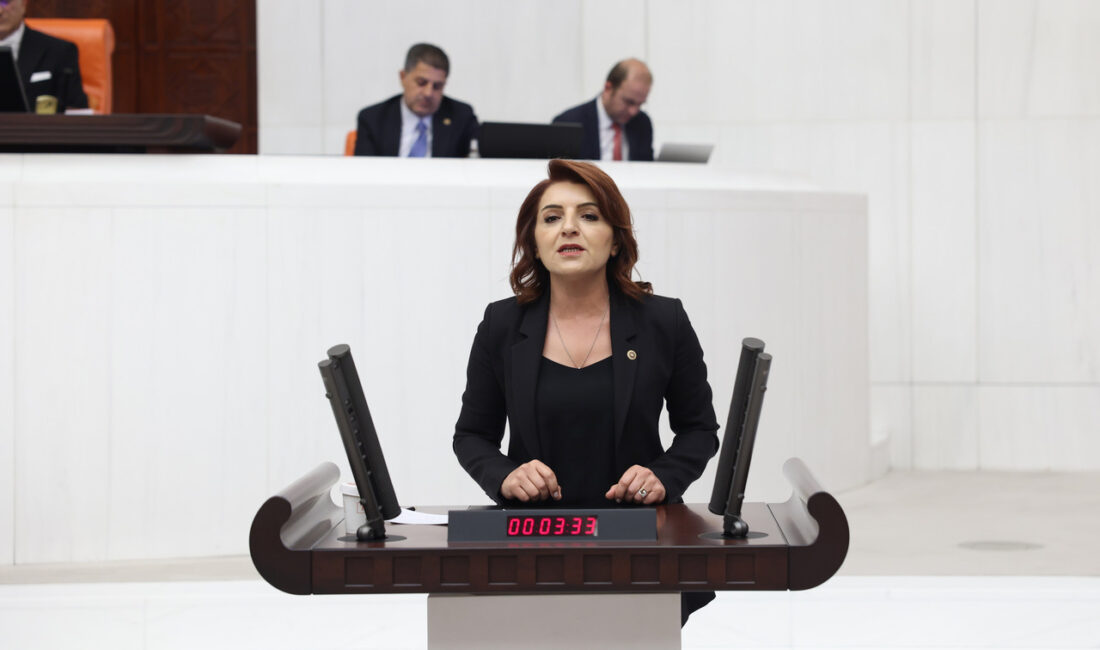 CHP Mersin Milletvekili Gülcan