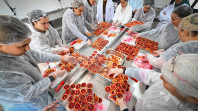 Üreticilere destekleri ve yerel kalkınmaya