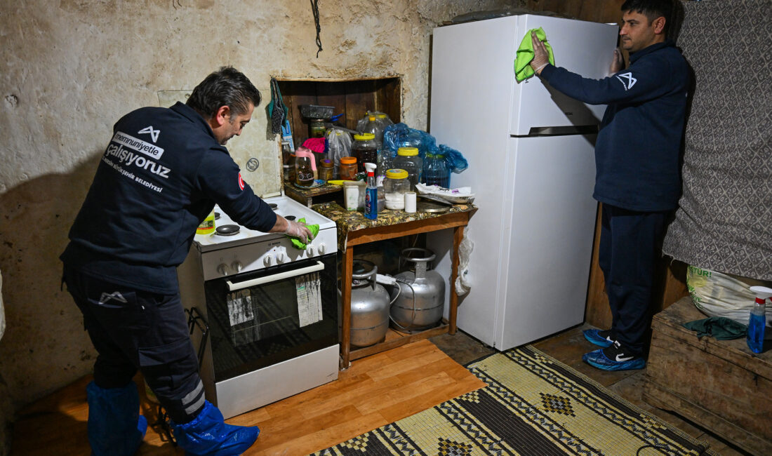 Doğumdan yaşlılığa kadar yaşamın