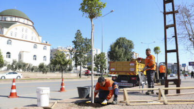 Mersin’in yeşil dokusunu güçlendirmek için