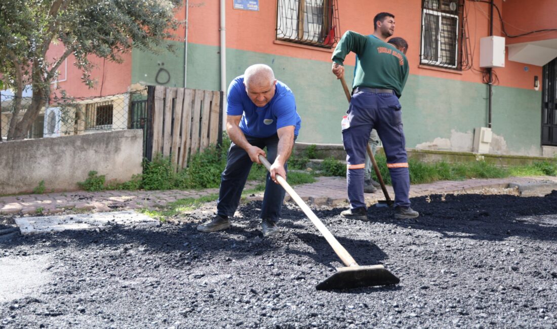 Toroslar Belediyesi, ilçe genelinde