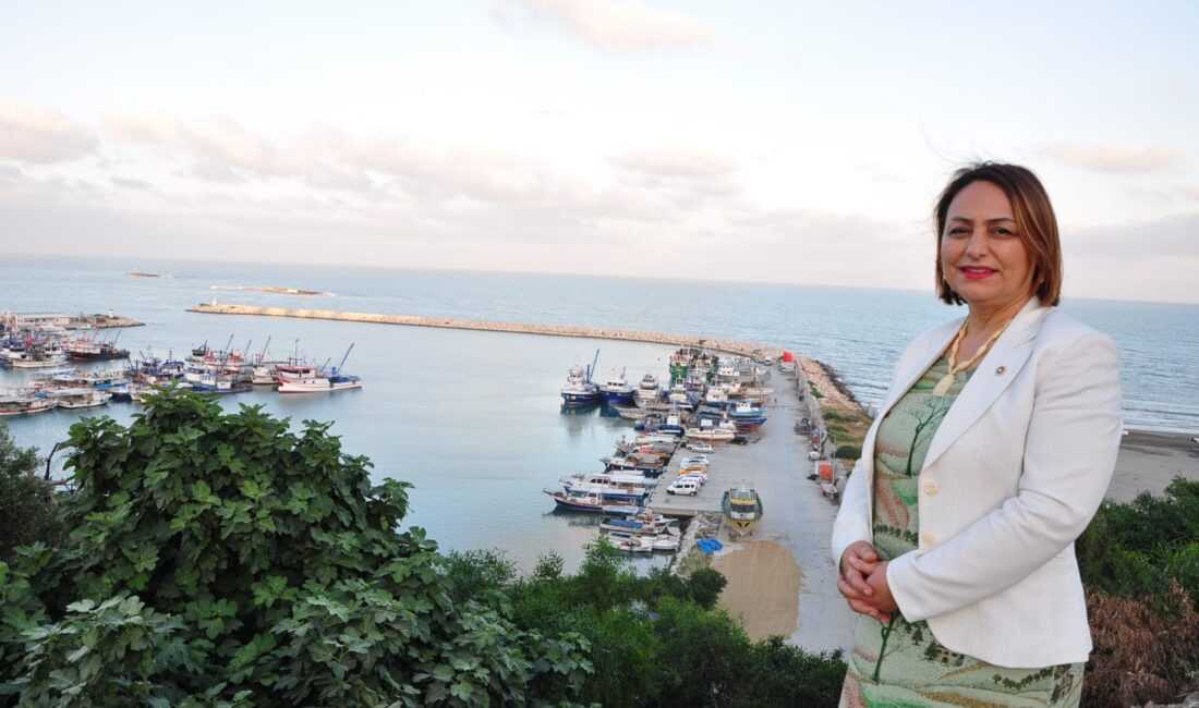 CHP Adana Milletvekili, TBMM