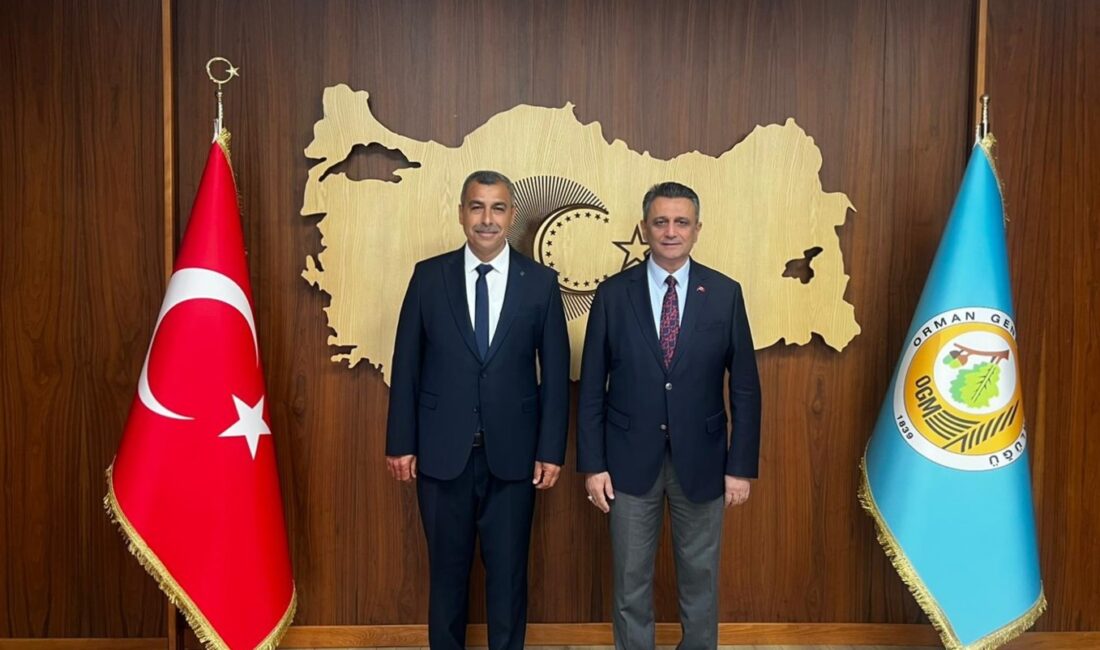 Makamın olurlarıyla, Adana Orman