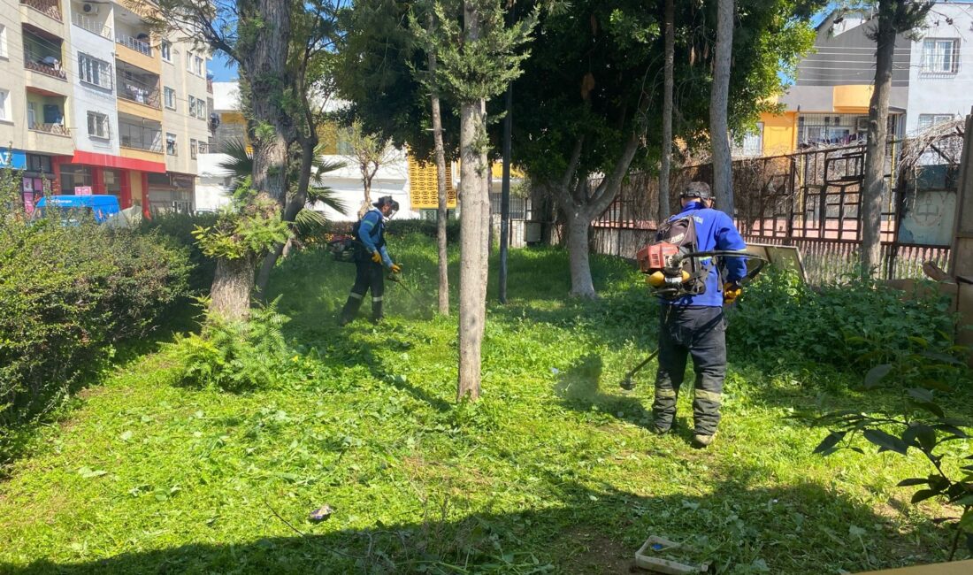 Akdeniz Belediyesi, havaların ısınmasıyla