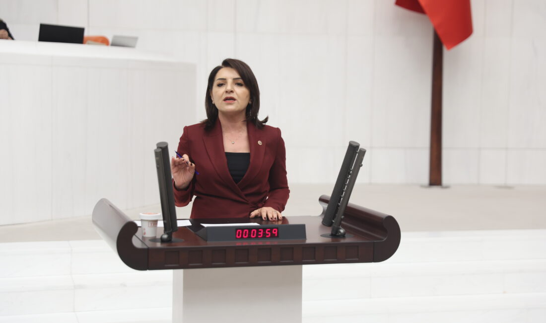 CHP Mersin Milletvekili Gülcan Kış,