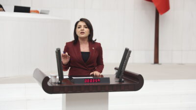 CHP Mersin Milletvekili Gülcan Kış,