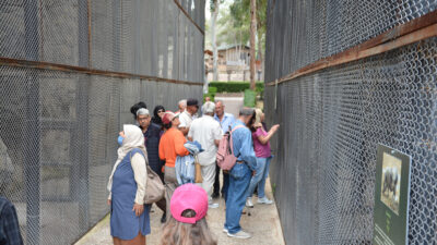 Mersin Büyükşehir Belediyesi, sosyal belediyecilik