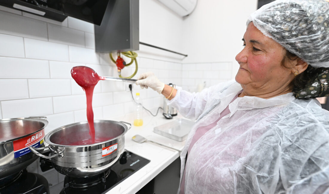 Mersin Büyükşehir Belediyesi&nbsp;‘Hamzabeyli Köyümüz