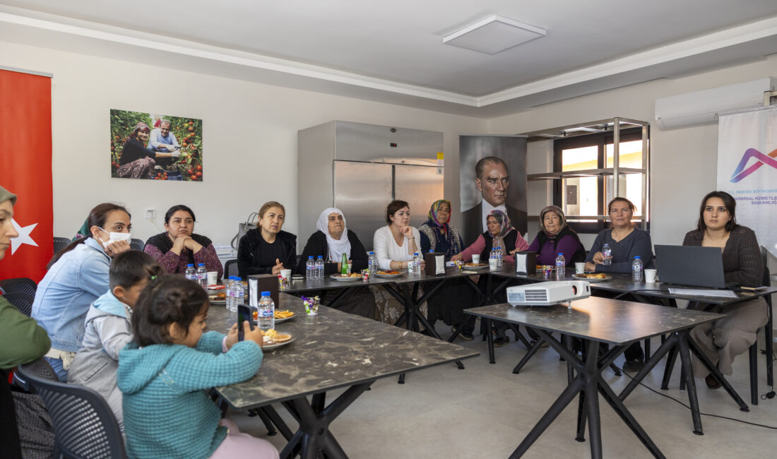 Mersin Büyükşehir Belediyesi, kırsal mahallelerde