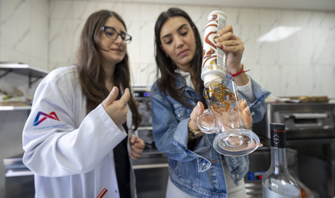 Mersin Büyükşehir Belediyesi Sosyal