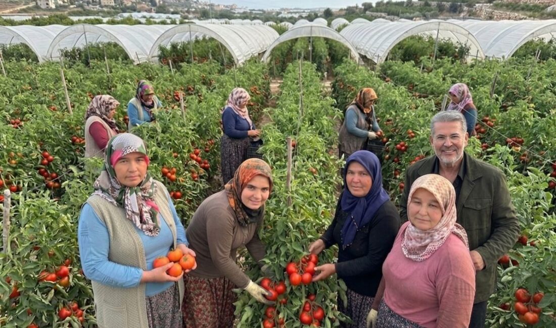 Türkiye Büyük Millet Meclisi’nde söz