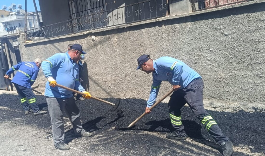 Akdeniz Belediyesi, vatandaşlara daha