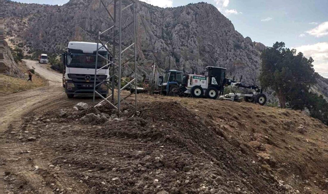 GÜLNAR VE MUT’TAKİ SORUNLAR İÇİN YETKİLİLERE KOORDİNASYON ÇAĞRISI Milliyetçi Hareket Partisi Mersin