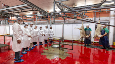 Mersin Büyükşehir Belediyesi Sosyal Hizmetler
