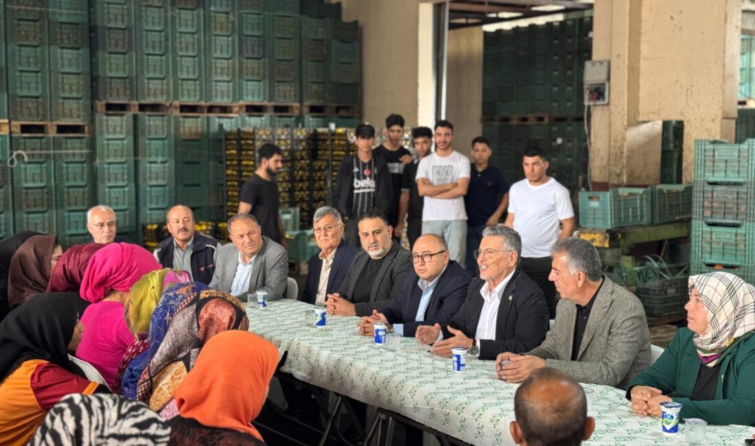 Milliyetçi Hareket Partisi Mersin