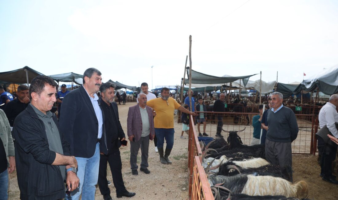 Toroslar Belediye Başkanı Abdurrahman