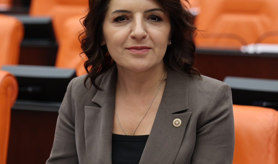 CHP Mersin Milletvekili Gülcan