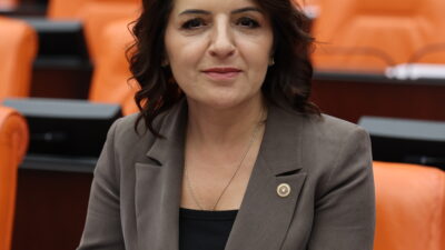 CHP Mersin Milletvekili Gülcan Kış,