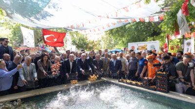 Türkiye Belediyeler Birliği (TBB) ve
