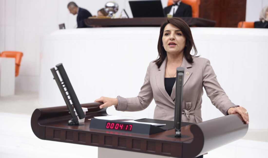 CHP Mersin Milletvekili Gülcan