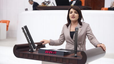 CHP Mersin Milletvekili Gülcan Kış,