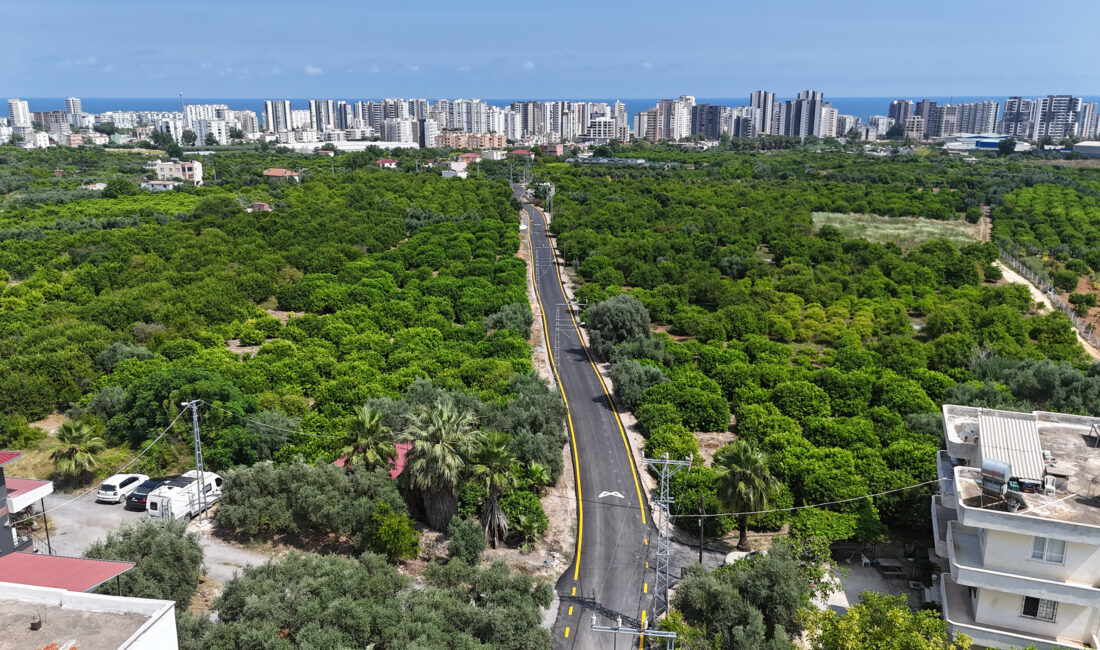 Mersin Büyükşehir Belediyesi, kentin