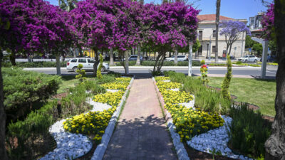 Mersin Büyükşehir Belediyesi Park ve