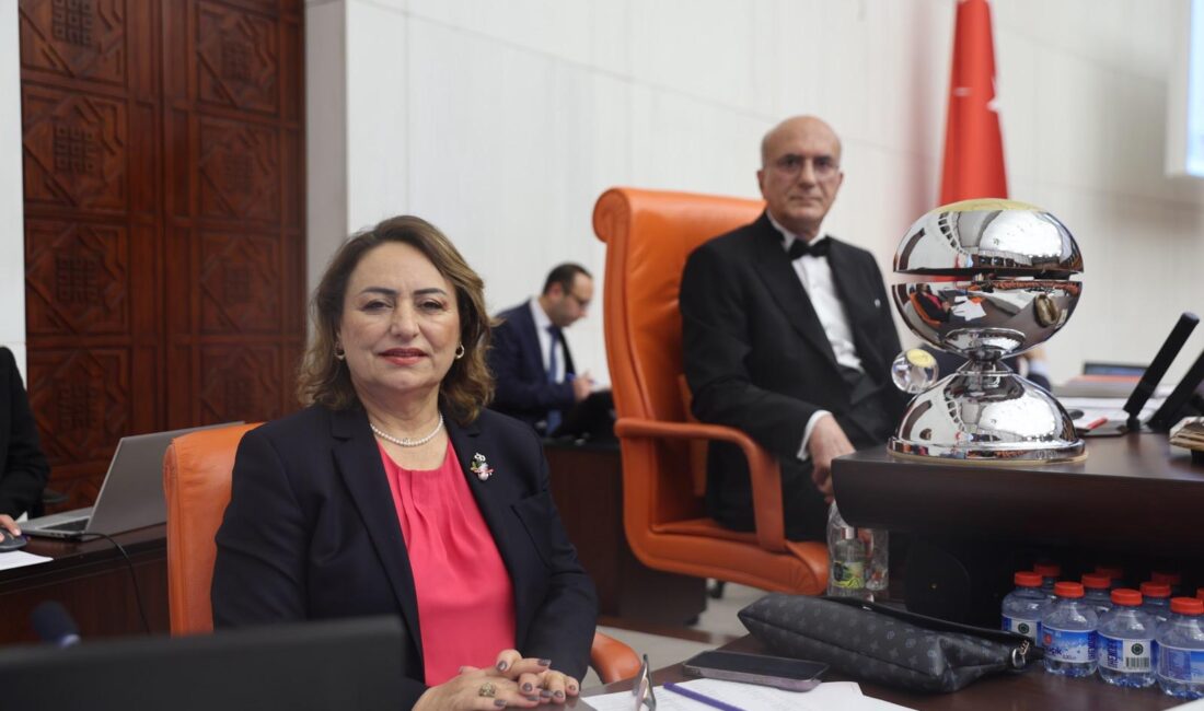 “Çıplak arama işkencedir, hesap sorulmalıdır” CHP Adana Milletvekili ve TBMM