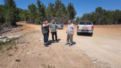 Mersin Orman Bölge Müdür Yardımcısı