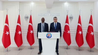 Mersin Valisi Atilla Toros, Sudan