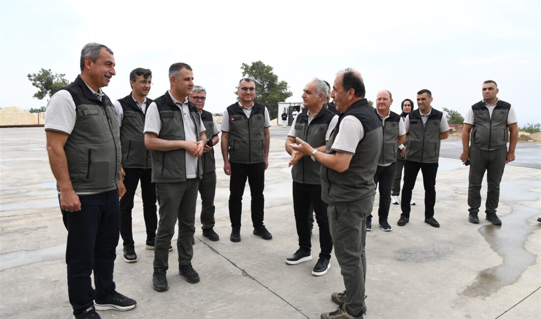 Orman Genel Müdür Yardımcısı
