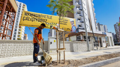 Mersin Büyükşehir Belediyesi, kent genelinde