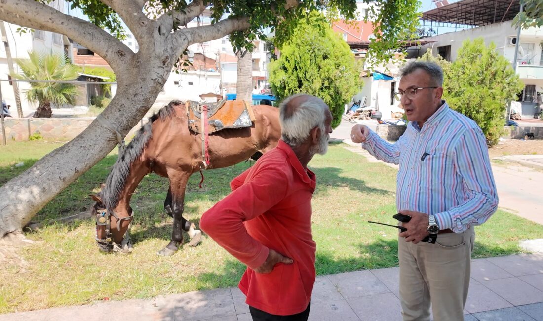 MERSİN’DE BİTKİN DÜŞEN AT KURTARILDI: YENİ YUVASI ANTALYA OLDU MERSİN’DE BİTKİN DÜŞEN AT KURTARILDI: YENİ YUVASI ANTALYA OLDU