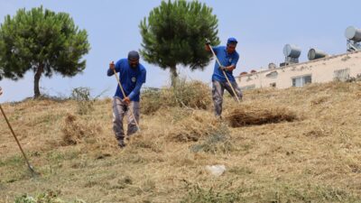 Toroslar Belediyesi, daha temiz, sağlıklı