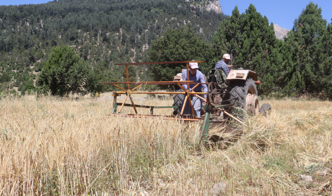TOROSLAR BELEDİYESİNİN TOHUM DESTEĞİ İLK HASADINI VERDİ Toroslar Belediyesinin kırsal kalkınmayı desteklemek